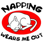 Napping Cat