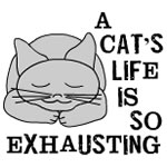 Cat's Exhausting Life