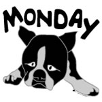 Dog Day Monday